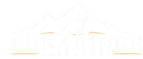lunaridge official logo 480